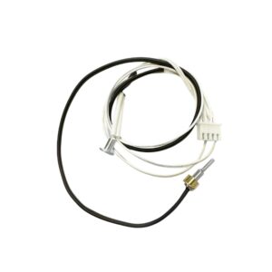 Double NTC Sensor (AS00005466)