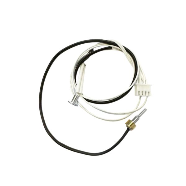 Double NTC Sensor (AS00005466)